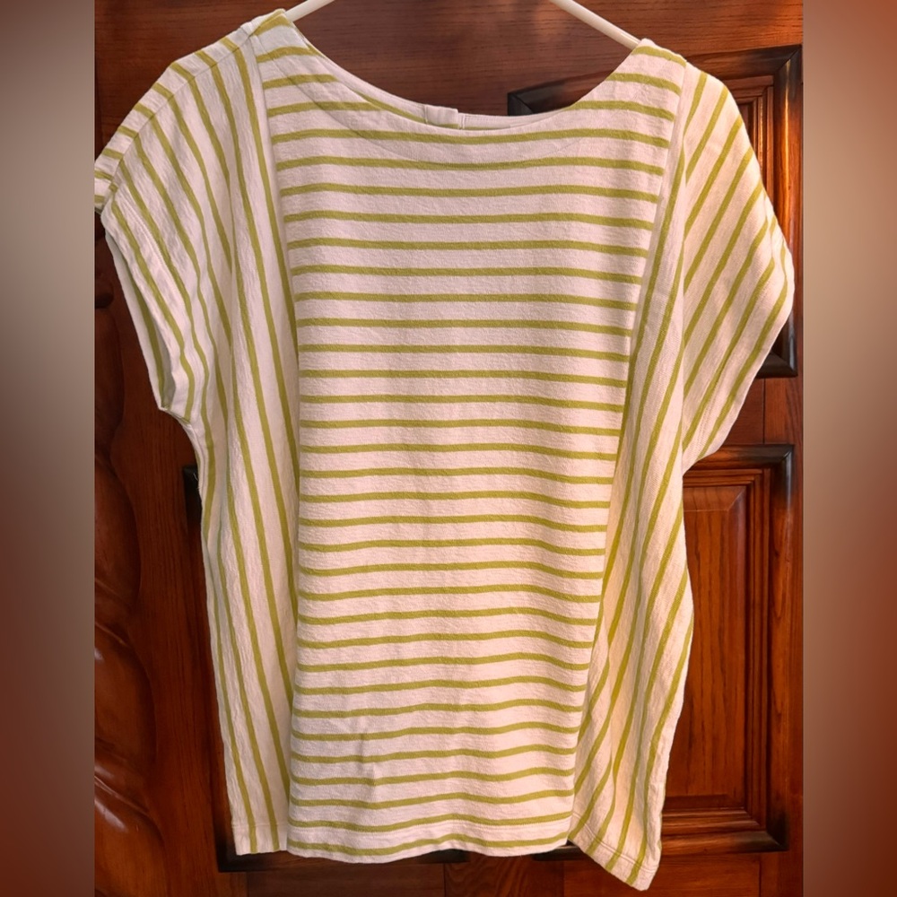 J. Jill 100% Cotton Women’s Striped Top, size Large. Light green and white.
